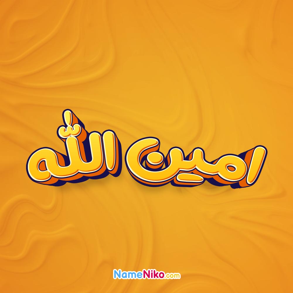 تصویر امین الله