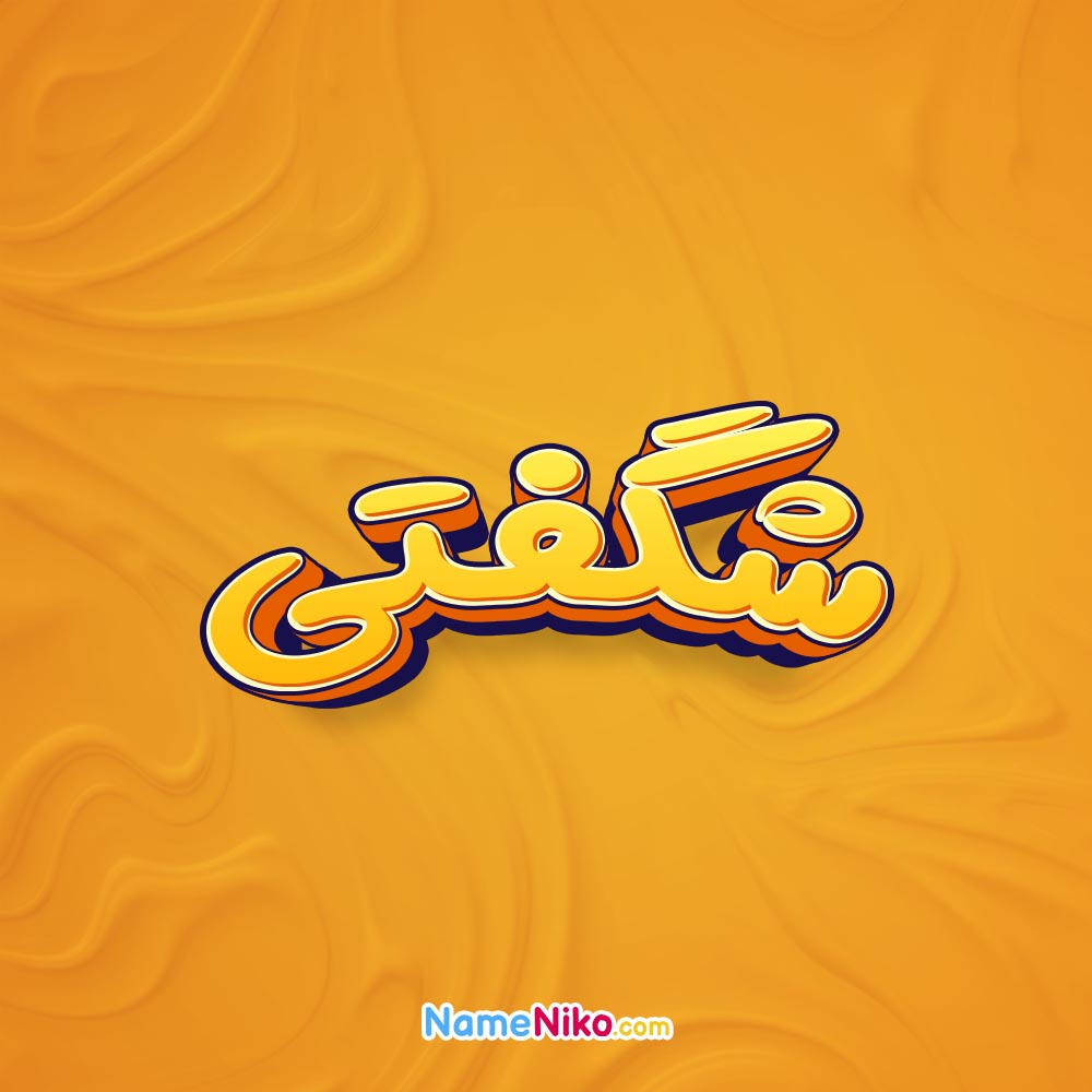 تصویر شگفتی